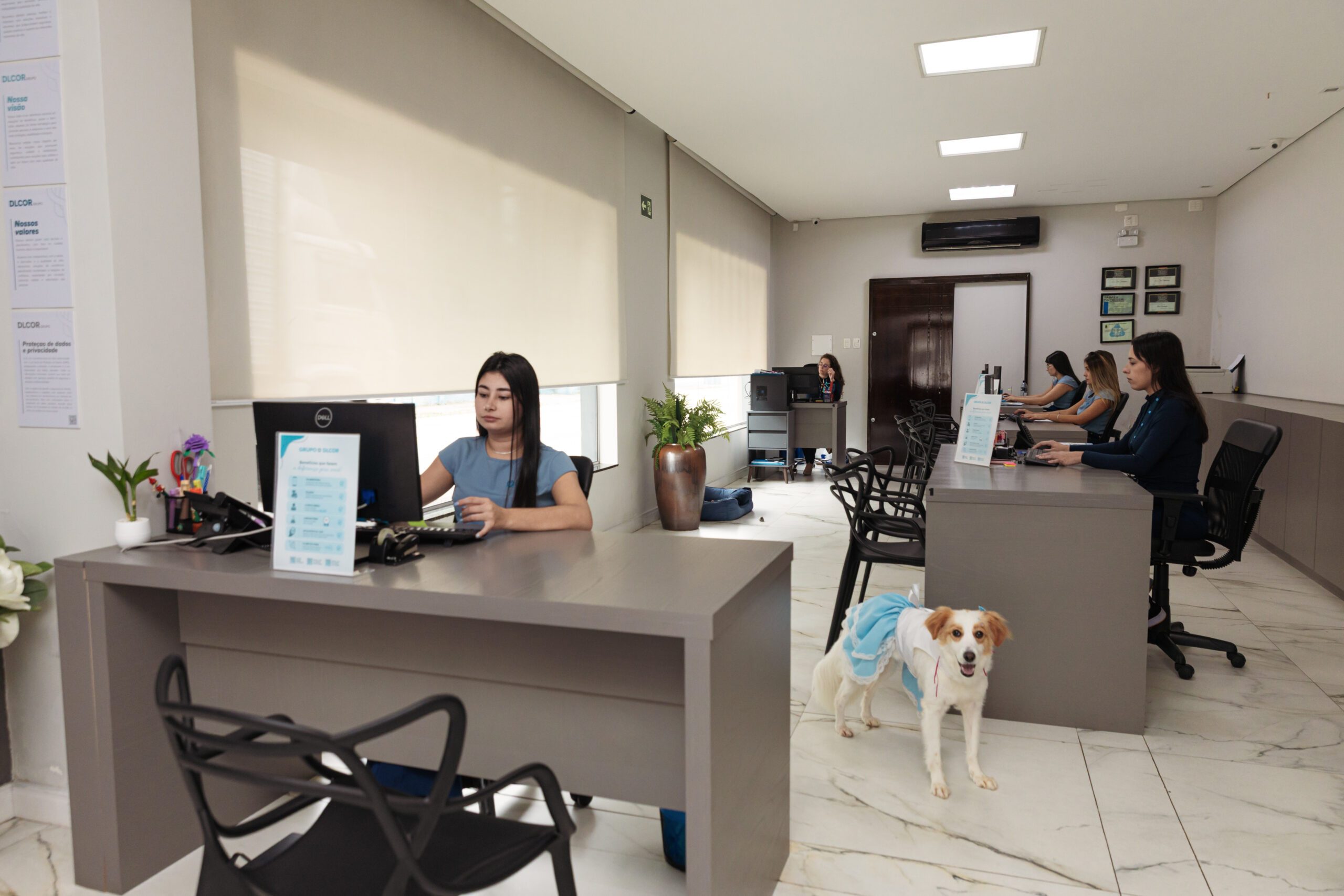 DLcor_05082026-453